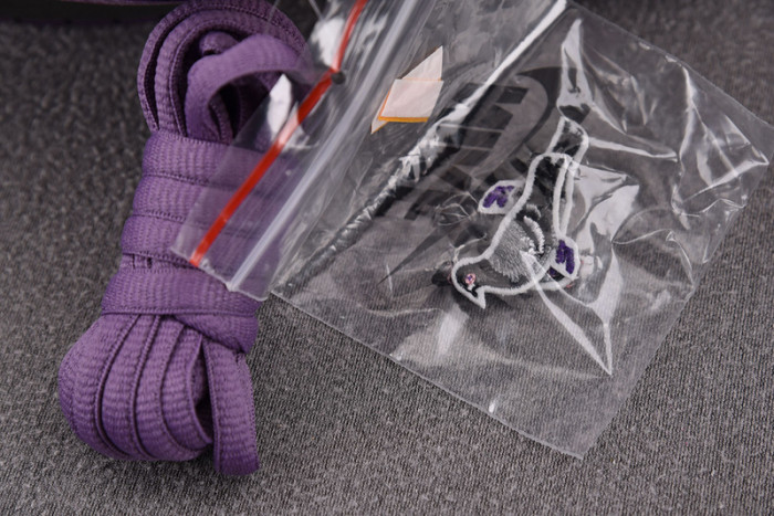 NIKE DUNK SB LOW PURPLE PIGEON 304292-051