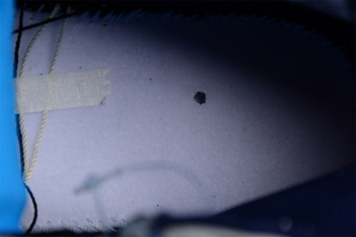 Air Jordan 1 Retro High Golf NRG 2 Michelle Wie West Aloha FV3565-100