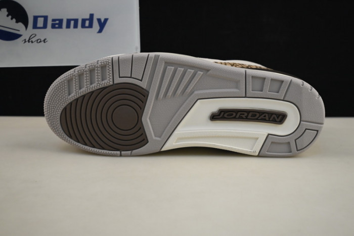 Air Jordan 3 “Palomino” CT8532-102