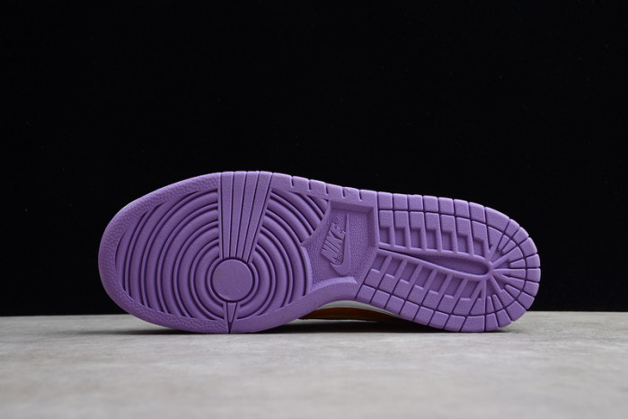 NIKE DUNK LOW SB VIOTECH - CT5050-500