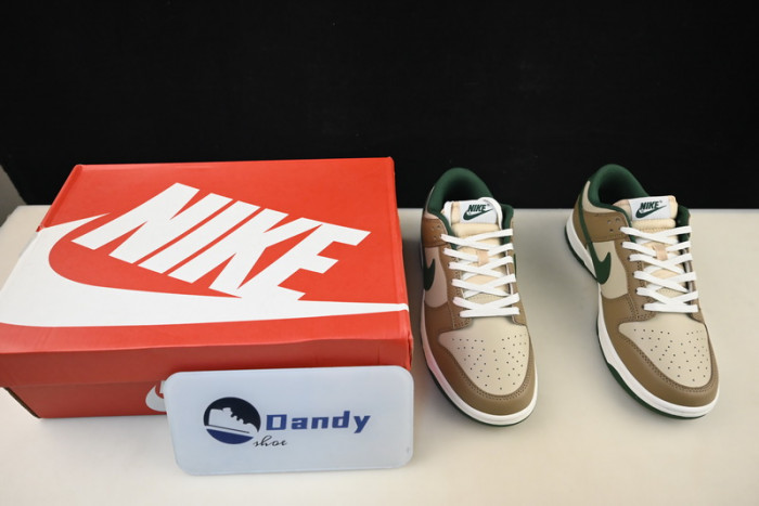 Nike Dunk Low Retro FB7160-231