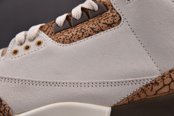 Air Jordan 3 “Palomino” CT8532-102