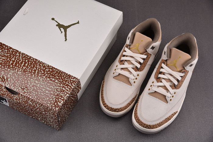 Air Jordan 3 “Palomino” CT8532-102