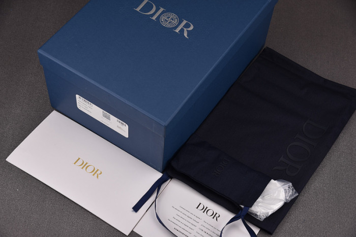 D10R B57 LOW SNEAKER