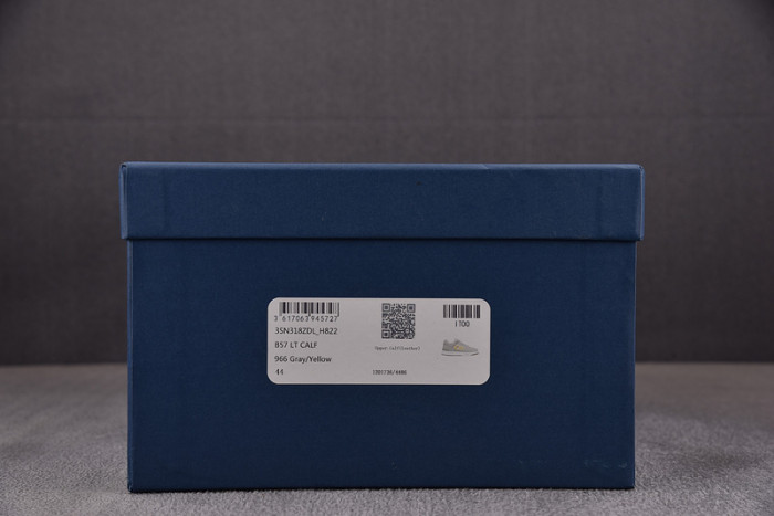 D10R B57 LOW SNEAKER