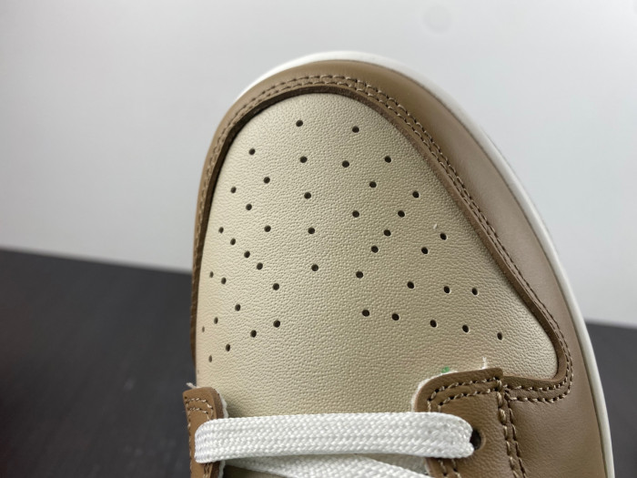 Nike Dunk Low Retro FB7160-231