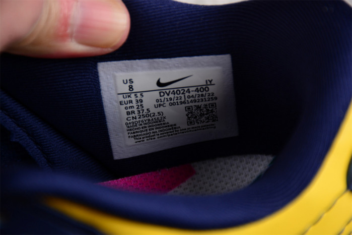 Nike Dunk Low Disrupt 2 Michigan (Women