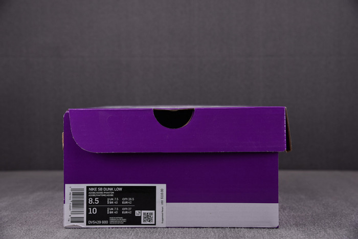 NIKE SB DUNK LOW 