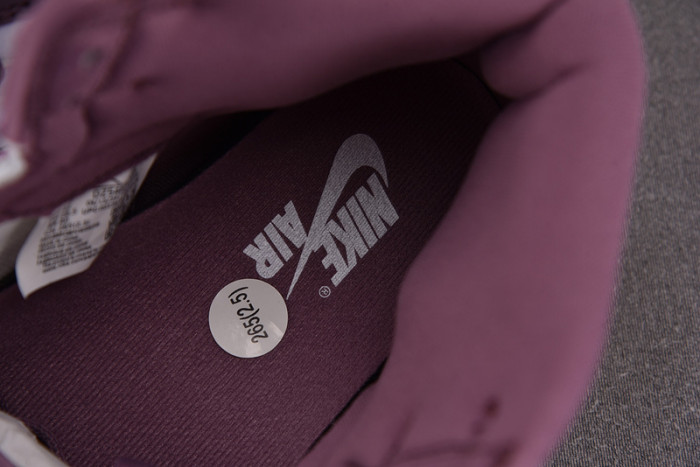 Air Jordan 1 Retro High OG “Sky J Mauve” DZ5485-105