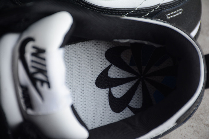 NIKE DUNK LOW DISRUPT 2 DV4024-002