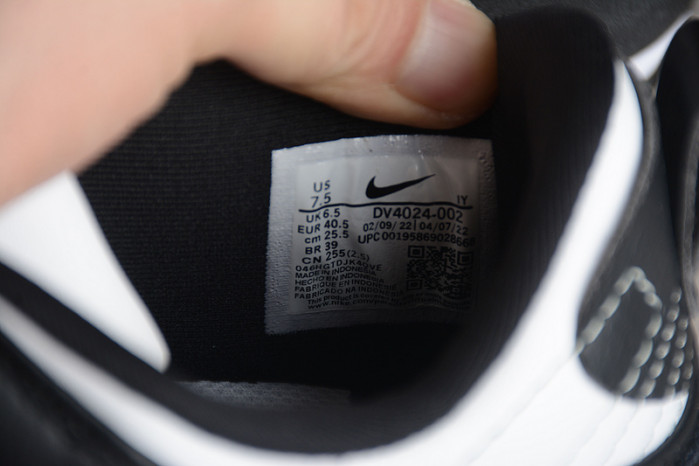 NIKE DUNK LOW DISRUPT 2 DV4024-002