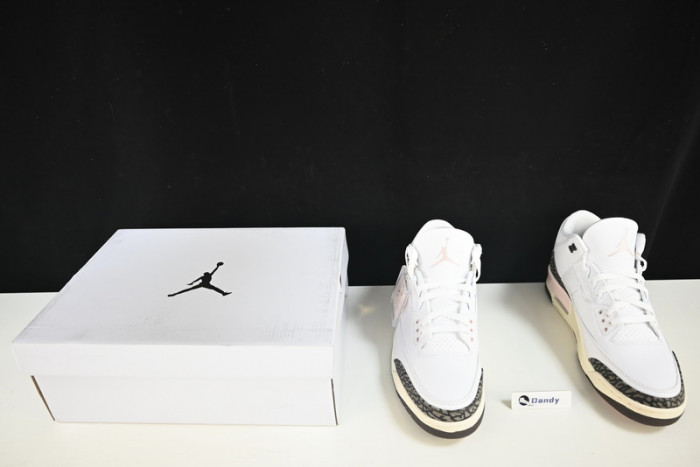 AIR JORDAN 3 “NEAPOLITAN” CK9246-102