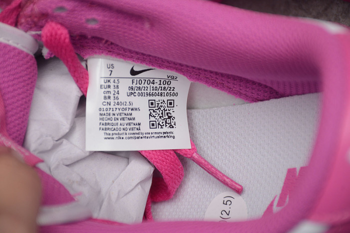 Nike Dunk Low GS Active Fuchsia FJ0704-100