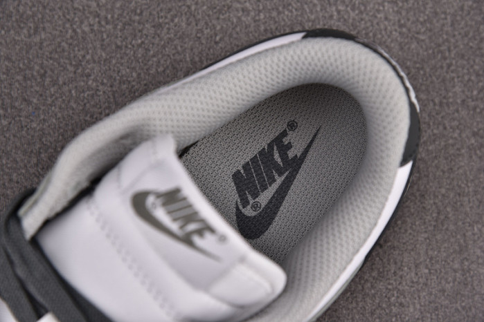 Nike Dunk Low Light Smoke Grey DD1503-117