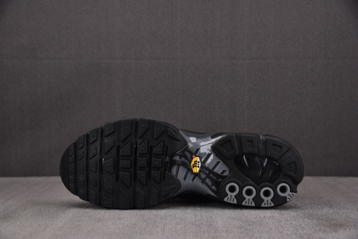 Nike Air Max Plus PSG Paris Saint-Germain Black Particle Grey IB2253-001