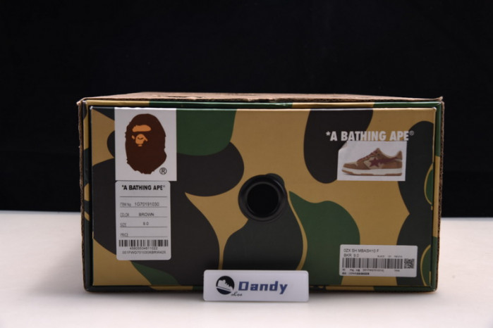 BAPE Shoe